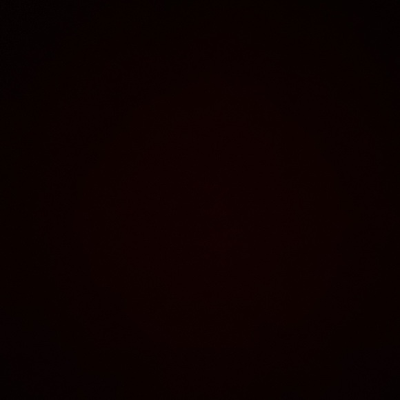 Meet your Posher, Tiara - Picture 2 of 2